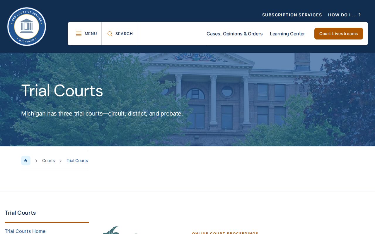 Michigan trial court information for Gladwin County criminal court cases